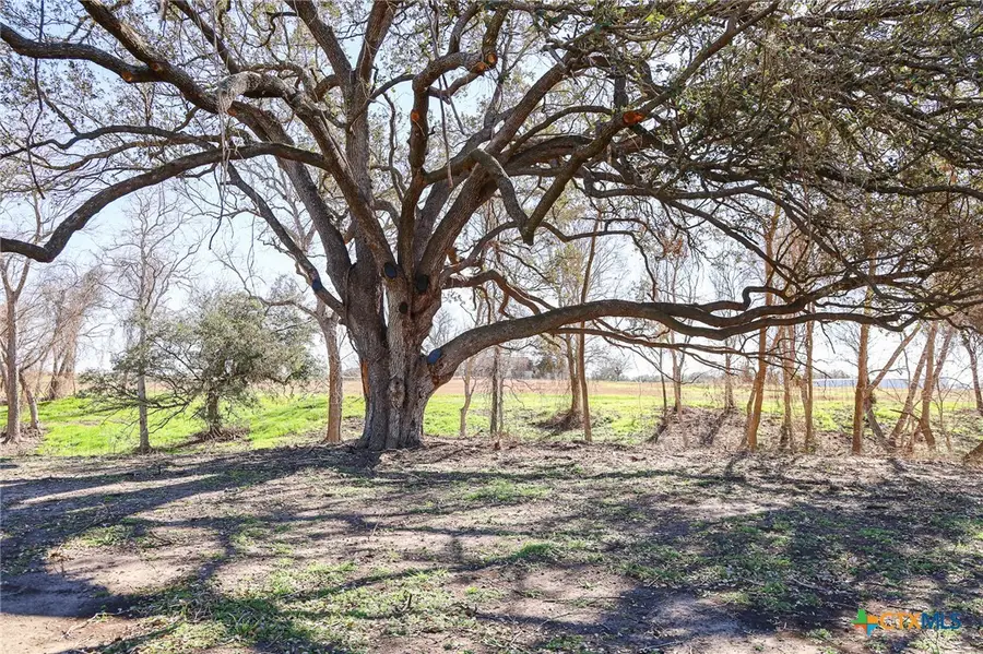 511 Cr 362 #Lot 9, Shiner, TX 77984 - Image #3