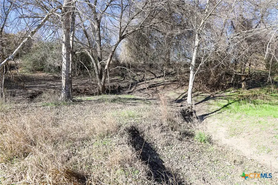 511 Cr 362 #Lot 5, Shiner, TX 77984 - Image #3