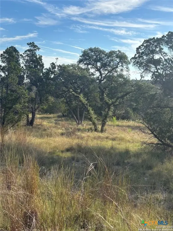 378 Cloudveil, New Braunfels, TX 78132