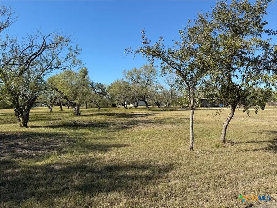 150 Tomahawk Trail, Seguin, TX 78155 - Image #2