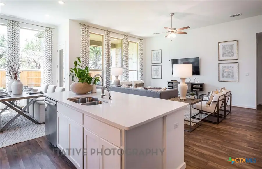 121 Mineral River Loop, Kyle, TX 78640 - Image #3