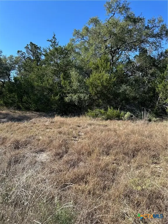 1215 Powder Ridge Road, New Braunfels, TX 78132 - Image #2