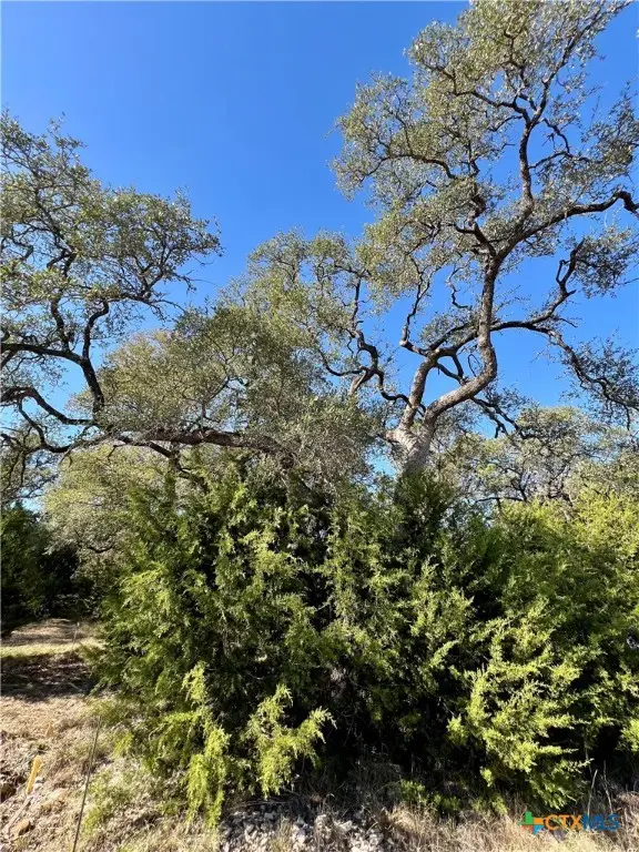 1215 Powder Ridge Road, New Braunfels, TX 78132 - Image #3