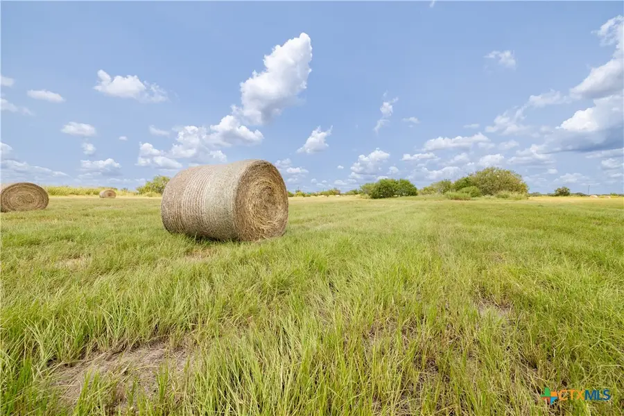 lot4tbd Fm-86, Lockhart, TX 78644 - Image #3