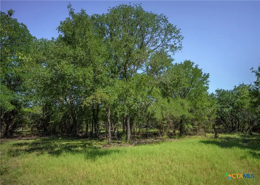 TBD Fm 2412, Gatesville, TX 76528 - Image #2