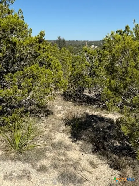 530 Lost Valley Road, Dripping Springs, TX 78620 - #3