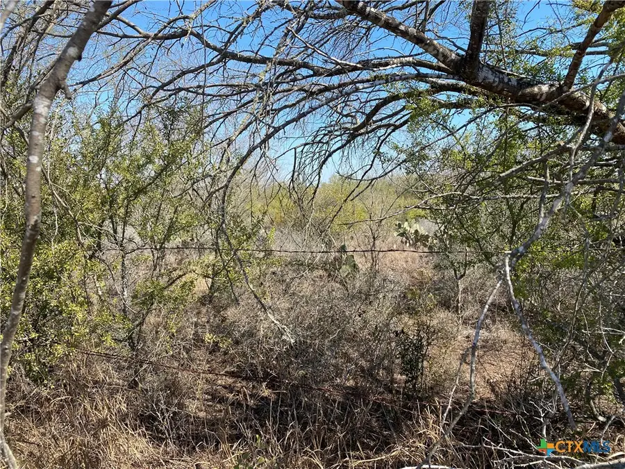 00 Cr 3081, Orange Grove, TX 78372 - Image #2