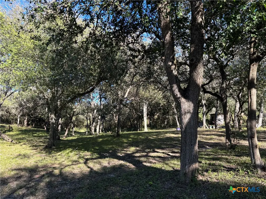 2168 River Oaks, Skidmore, TX 78164 - Image #1