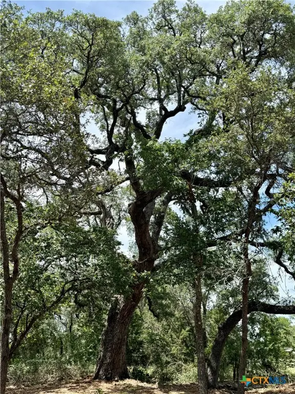 2887 Cr 255 - Family Compound, Georgetown, TX 78633 - Image #2