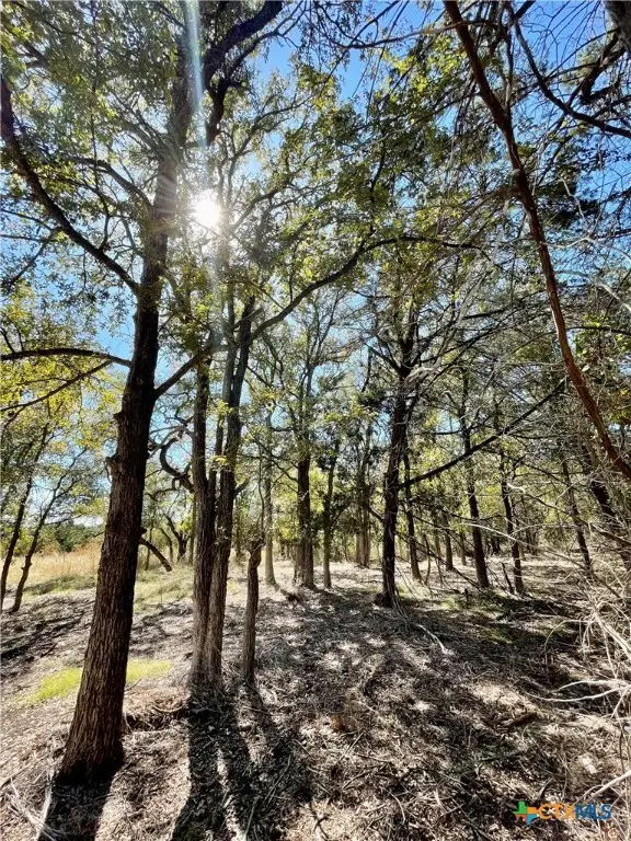 2887 Cr 255 - Family Compound, Georgetown, TX 78633 - Image #3