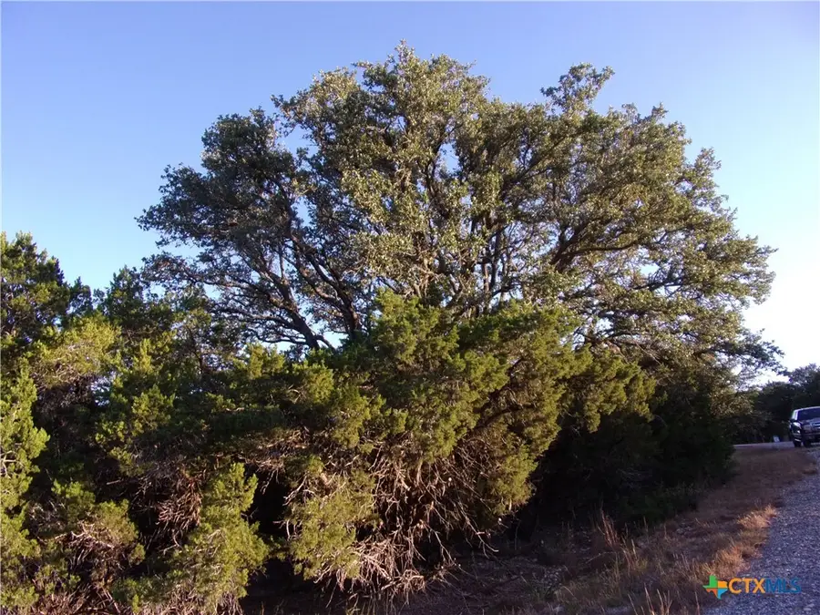 361/395 Mountain Wood, Canyon Lake, TX 78133 - Image #2