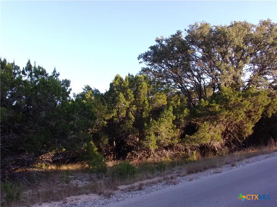 361/395 Mountain Wood, Canyon Lake, TX 78133 - Image #3