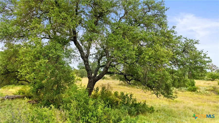 Lot 37 Vista Ridge Drive, Round Mountain, TX 78663 - #3