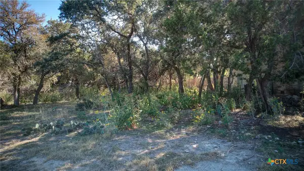 1042 Janet Drive, Canyon Lake, TX 78133