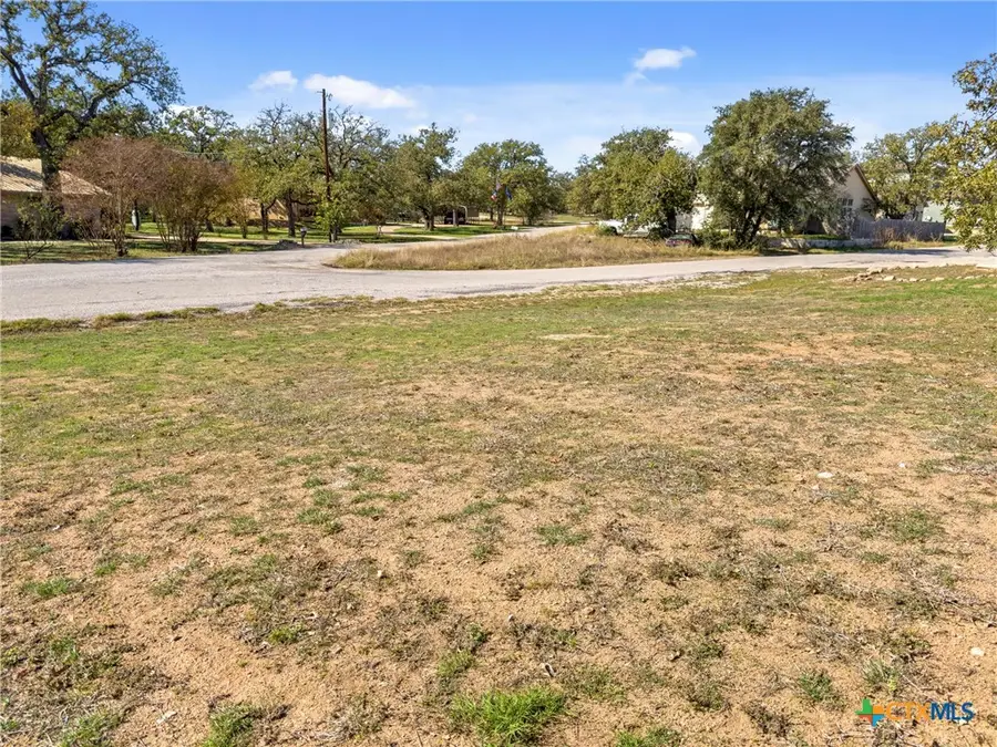 2100 Cedar Valley Drive, Kingsland, TX 78639 - Image #3
