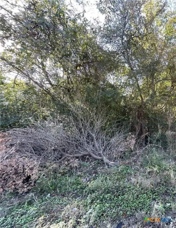 TBD Bowie & Newton, Cameron, TX 76520 - Image #1