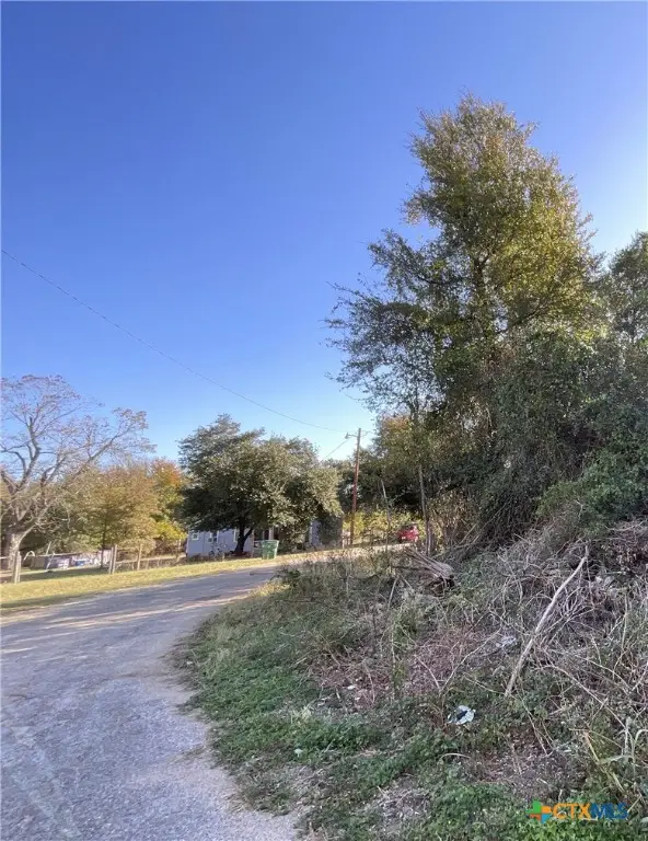 TBD Bowie & Newton, Cameron, TX 76520 - Image #2