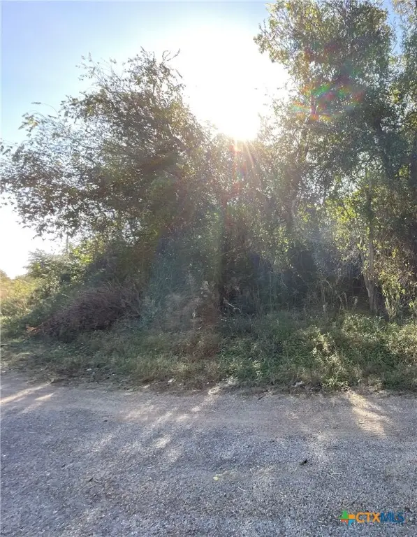 TBD Bowie & Newton, Cameron, TX 76520 - Image #3