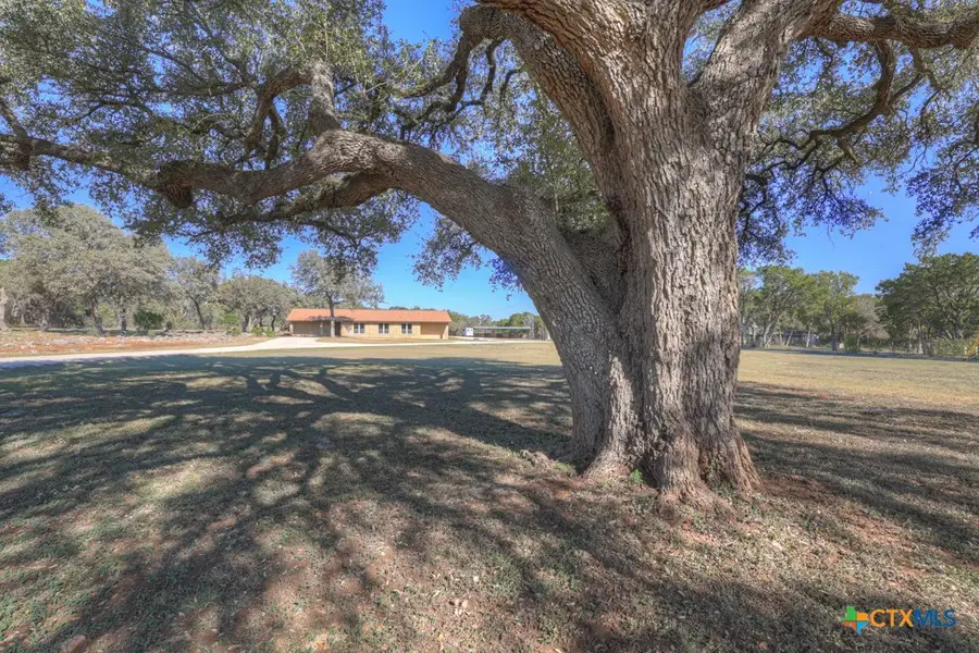 1080 Forest Trail, New Braunfels, TX 78132 - Image #2