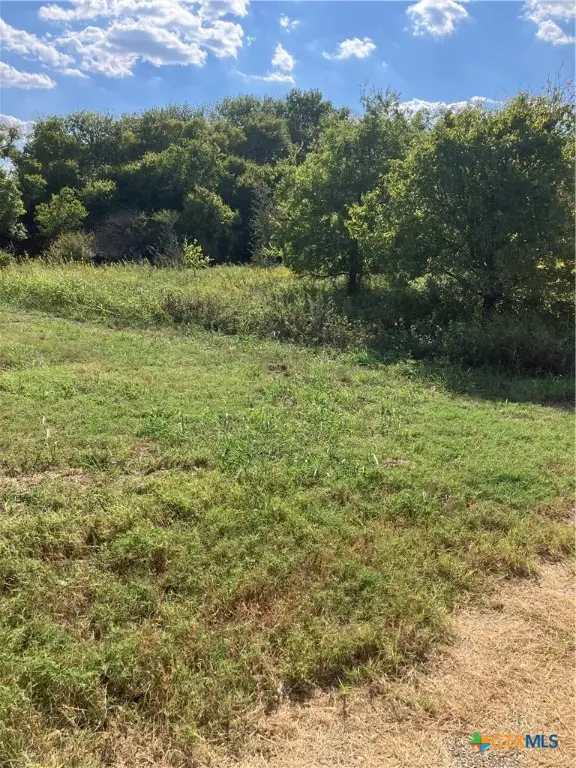 3202 S Central Avenue, Troy, TX 76579 - Image #2