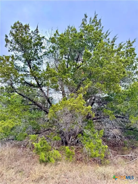 422 Eagle Lane, Fischer, TX 78606 - Image #3