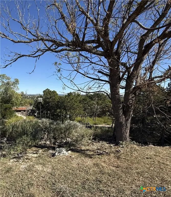 651 Scott Way, Canyon Lake, TX 78133 - Image #2