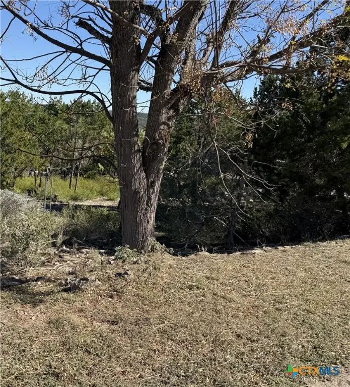 651 Scott Way, Canyon Lake, TX 78133 - Image #3