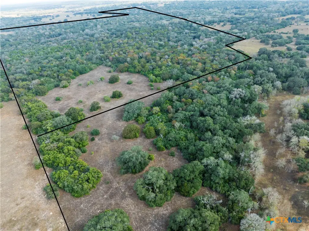 TBD County Road 12, Hallettsville, TX 77964 - Image #1