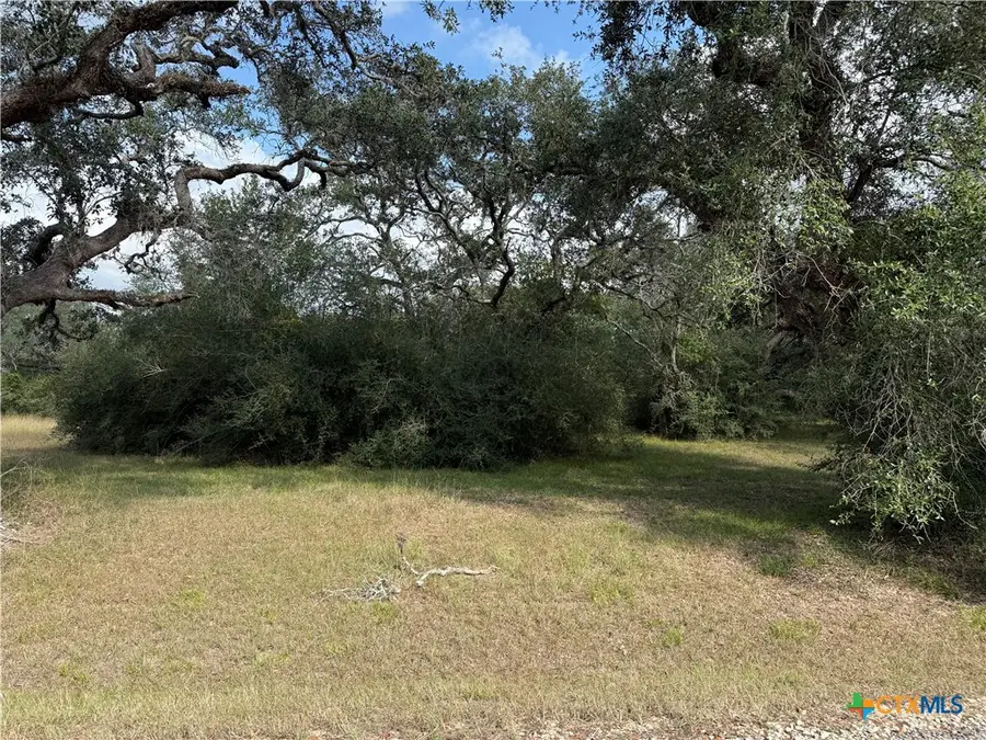 127 Center Tree Drive, Palacios, TX 77465 - Image #2