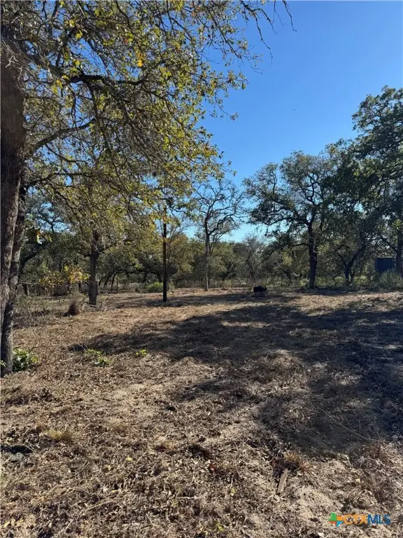 1925 Hickory Forrest Drive, Seguin, TX 78155 - Image #2