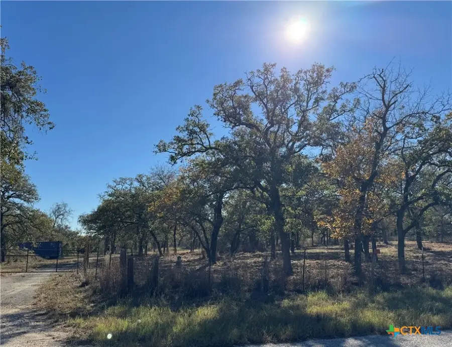 1925 Hickory Forrest Drive, Seguin, TX 78155 - Image #3