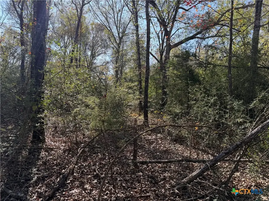 TBD County Road 301 Tract 7, Butler, TX 75855 - Image #2