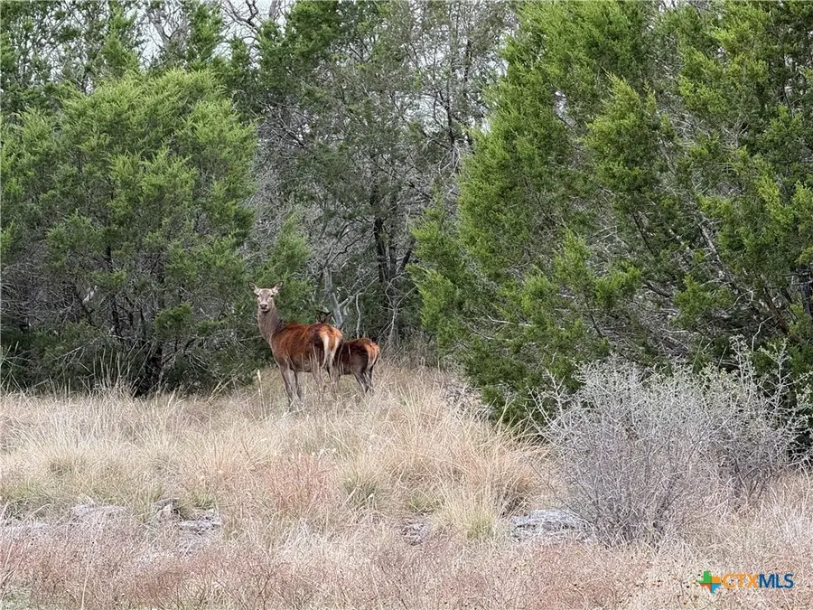 TBD Private Road 4719 Road #4719, Kempner, TX 76539 - Image #2