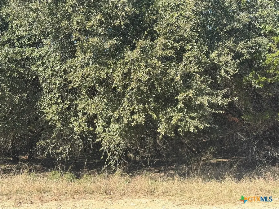 5982 Buggy Ride Road, Temple, TX 76502 - Image #2