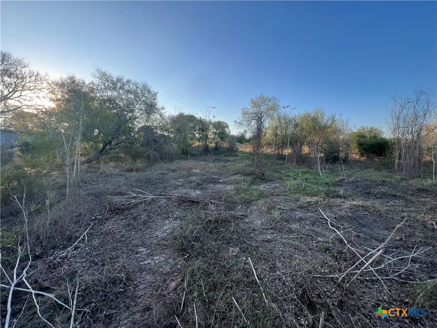 0 Laso Road, Goliad, TX 77963 - Image #3