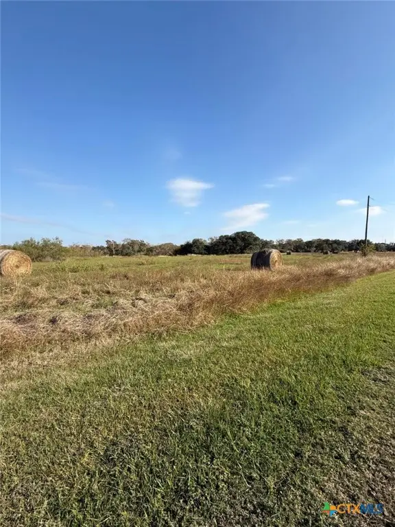 000 River Hollow Way, Blessing, TX 77419 - Image #2