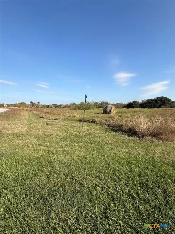 000 River Hollow Way, Blessing, TX 77419 - Image #3