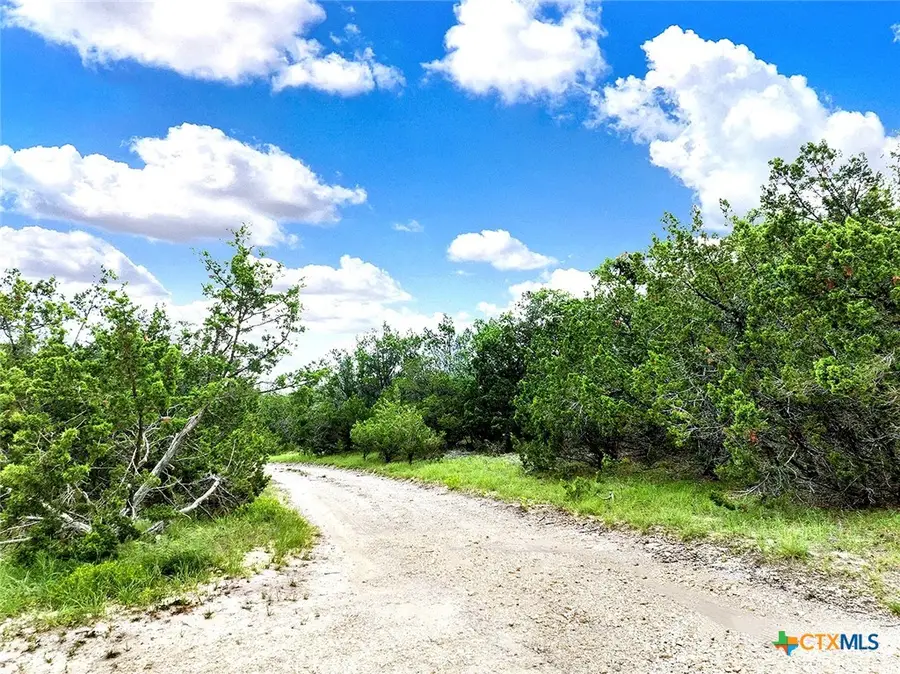 1650 S Rainbow Ranch Road, Wimberley, TX 78676 - #3