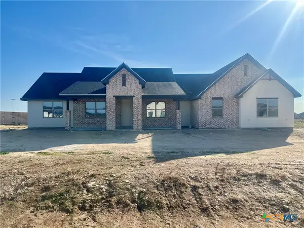 11067 Eagle Walk Boulevard, Salado, TX 76571