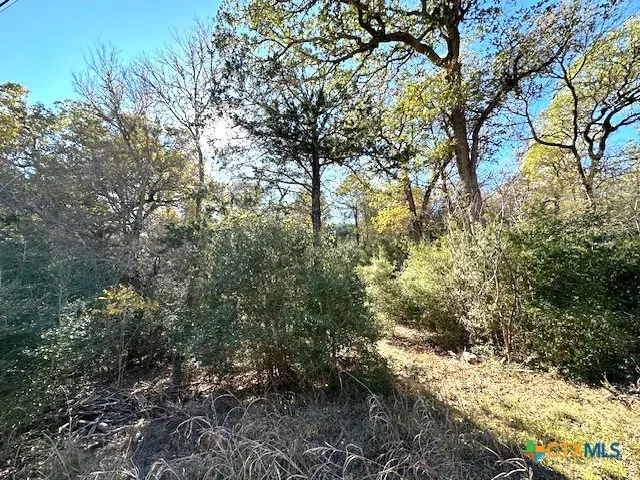 506 Tahitian Drive, Bastrop, TX 78602 - #1
