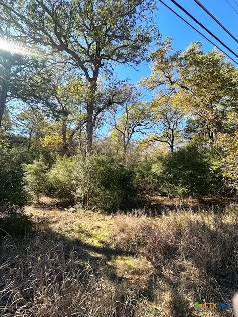 506 Tahitian Drive, Bastrop, TX 78602 - #3