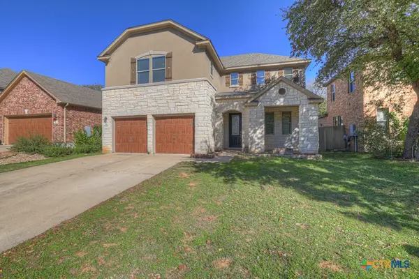 310 Sageleaf Willow Drive, San Marcos, TX 78666
