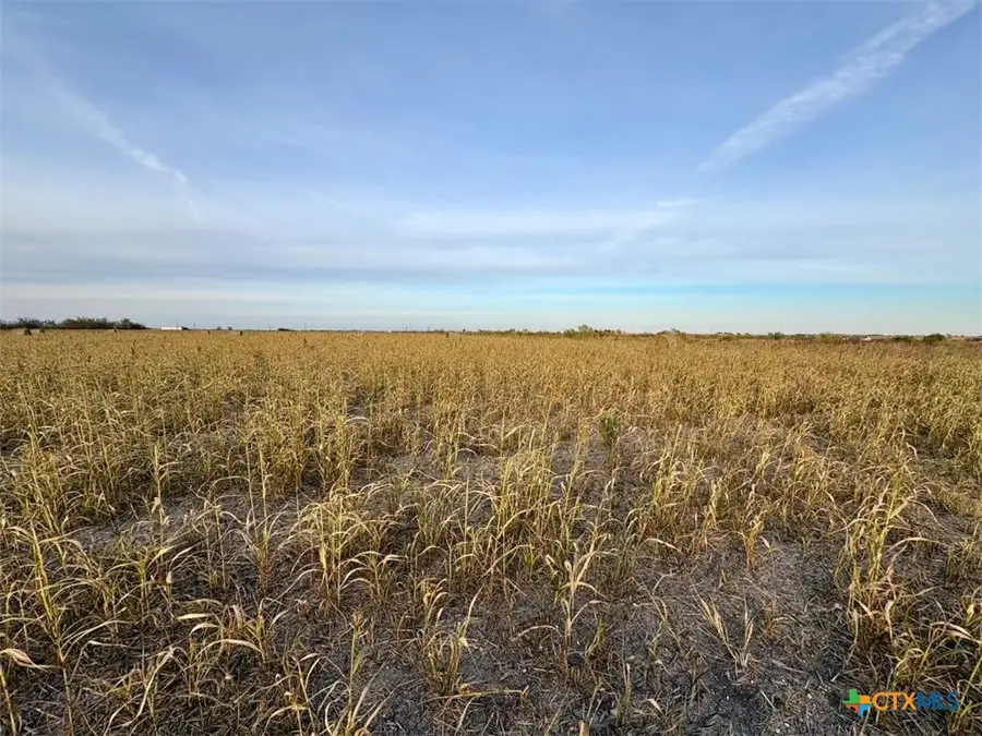 366 County Road 123, Buckholts, TX 76518 - #2