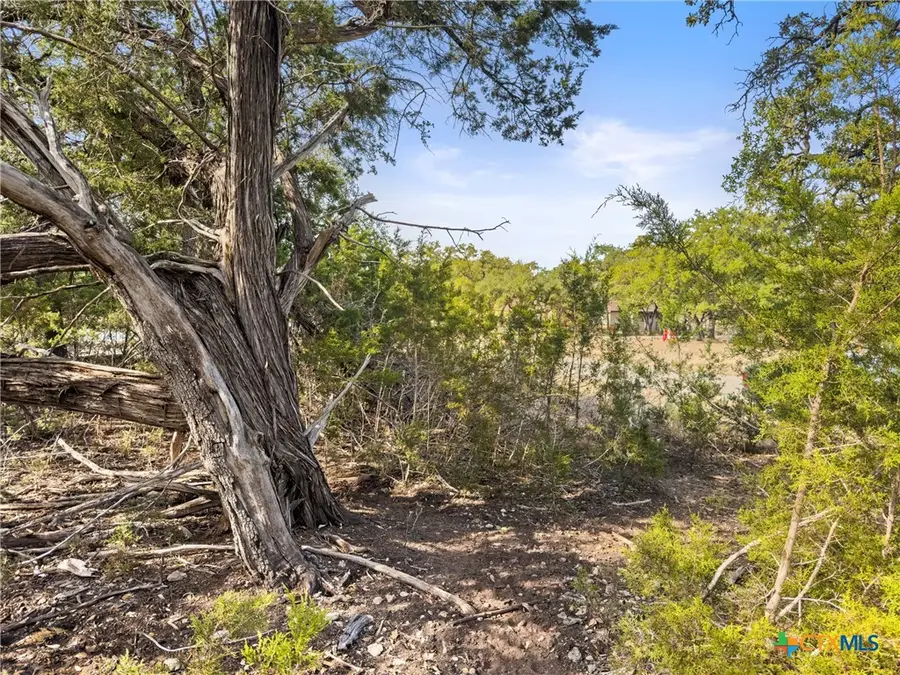 1426 Ledgebrook, Spring Branch, TX 78070 - Image #3