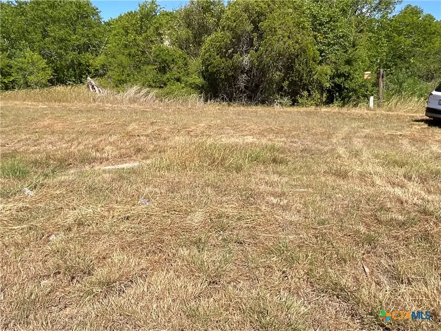 TBD Us Hwy 77a Street, Cuero, TX 77954 - Image #2