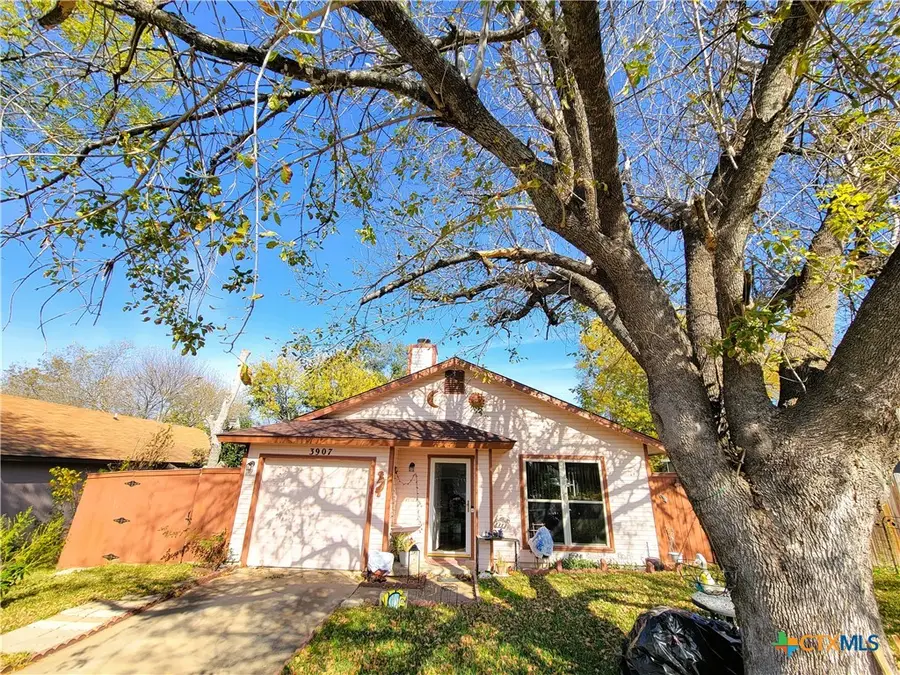 3907 London Lane, Killeen, TX 76543 - Image #3