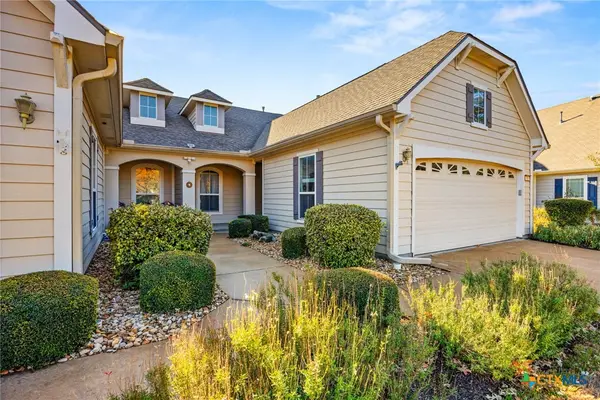 303 Bonham Loop, Georgetown, TX 78633