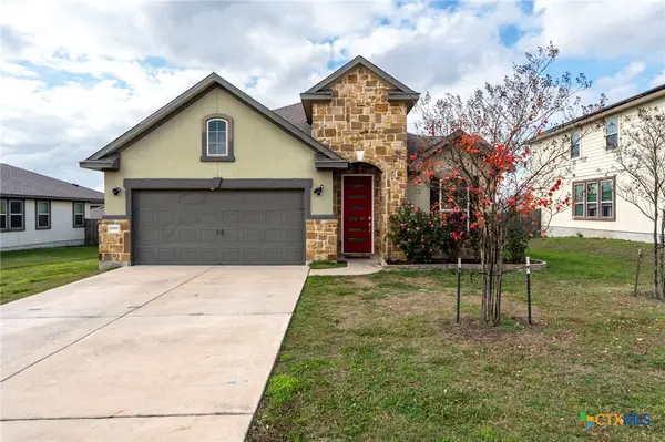 19300 Elk Horn Drive, Pflugerville, TX 78660