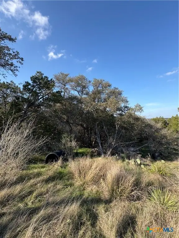 223 Lakeview Drive, Burnet, TX 78611