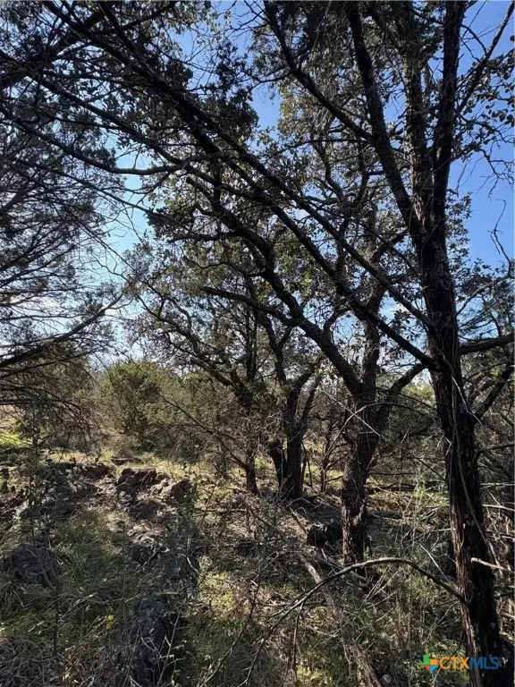 223 Lakeview Drive, Burnet, TX 78611 - Image #3